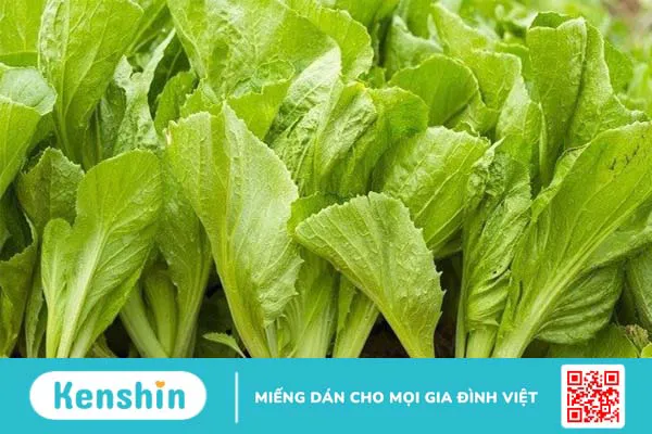 Ung thư phổi nên ăn gì? 20 thực phẩm nên và kiêng đối với người bệnh