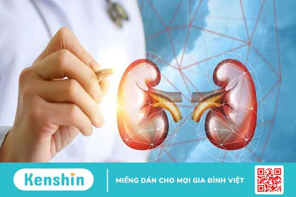 Uống bia bao nhiêu là tốt? Có có nên uống bia mỗi ngày không?