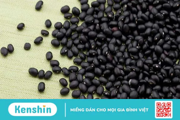 Uống nước đậu đen có tác dụng gì? 11 công dụng của đỗ đen với sức khỏe