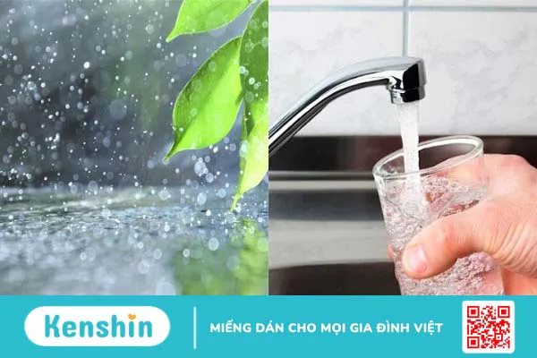 Uống nước mưa có tốt không? Cách sử dụng nước mưa an toàn, hiệu quả