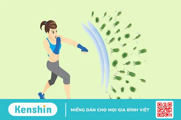 Vai trò của Lactobacillus reuteri trong sức khỏe và bệnh tật