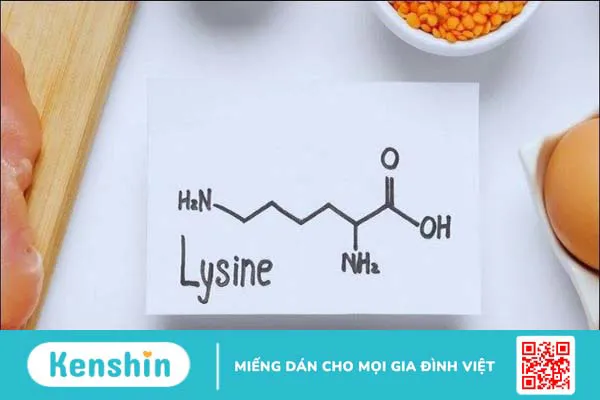 Vì sao nên bổ sung Lysine cho trẻ? Cách bổ sung lysine cho trẻ đúng cách