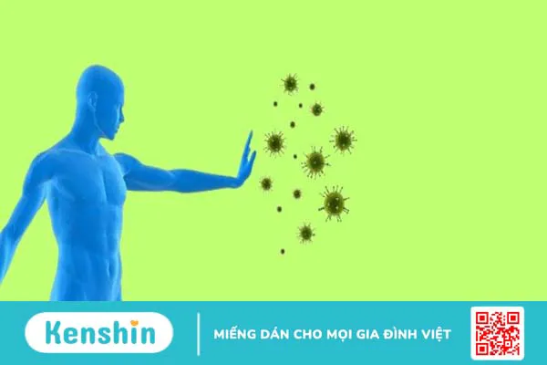 Vì sao nên bổ sung Lysine cho trẻ? Cách bổ sung lysine cho trẻ đúng cách