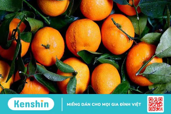 Viêm đường tiết niệu nên ăn gì và kiêng gì? Chế độ ăn tốt nên lưu ý