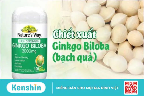 Viên uống Nature’s Way High Strength Ginkgo Biloba có tốt không?