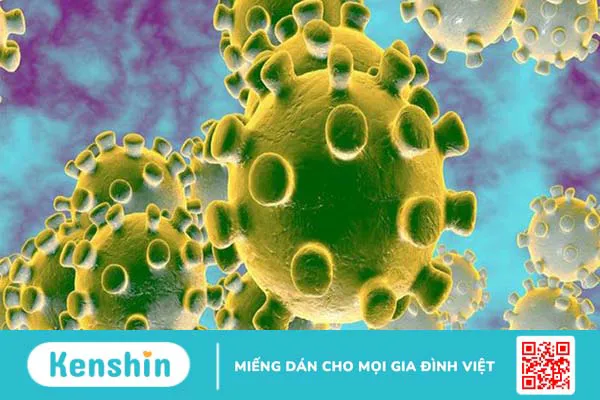 Virus corona là gì? Nguyên nhân, triệu chứng, phòng ngừa và điều trị