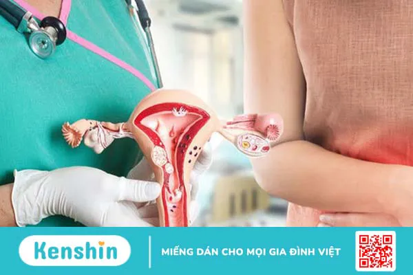 Virus HPV có thể gây ra bệnh gì?