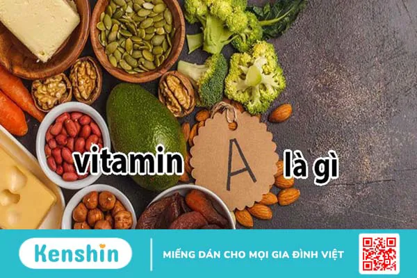 Vitamin A là gì? Tác dụng, cách dùng, tác dụng phụ