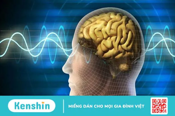 Vitamin B12 có trong thực phẩm nào? Top 12 thực phẩm giàu vitamin B12