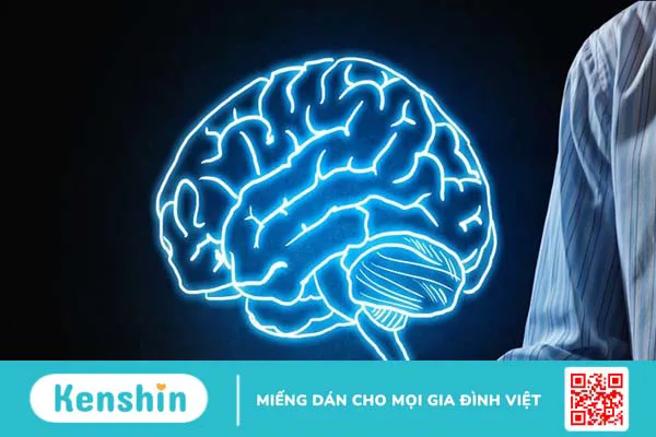 Vitamin B12 là gì? Tác dụng, cách dùng, tác dụng phụ, thực phẩm giàu vitamin B12