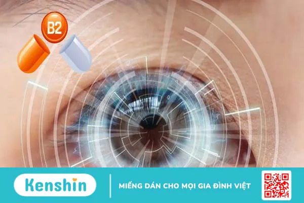 Vitamin B2 là gì? Công dụng, liều dùng vitamin B2 an toàn, hiệu quả