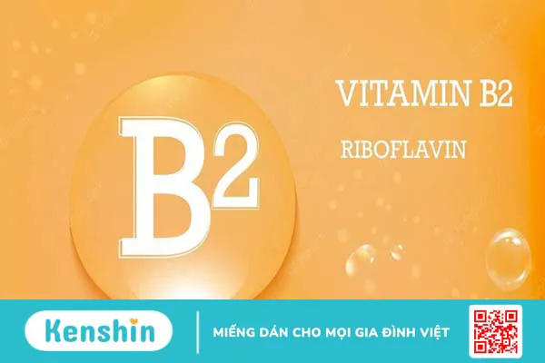 Vitamin B2 là gì? Công dụng, liều dùng vitamin B2 an toàn, hiệu quả