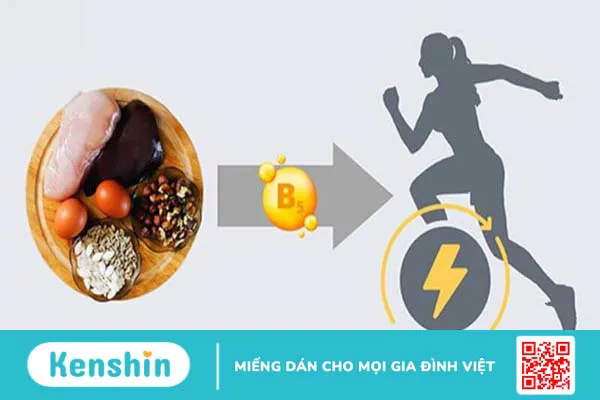 Vitamin B5 có trong thực phẩm nào? Top 17 thực phẩm giàu vitamin B5