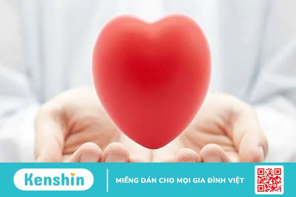 Vitamin B5 là gì? Tác dụng, cách dùng, thực phẩm chứa vitamin B5