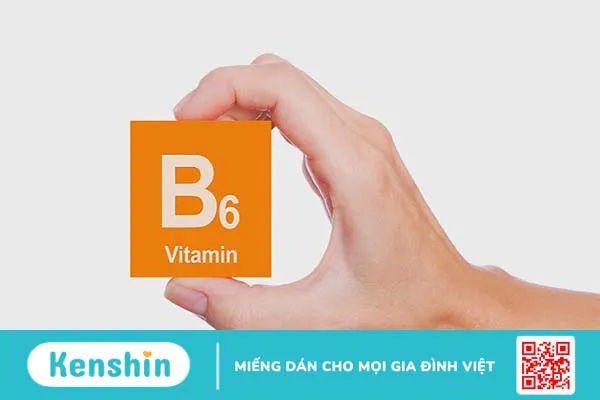 Vitamin B6 là gì? Tác dụng, cách dùng, tác dụng phụ, thực phẩm chứa vitamin B6