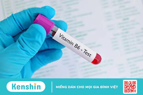 Vitamin B6 là gì? Tác dụng, cách dùng, tác dụng phụ, thực phẩm chứa vitamin B6