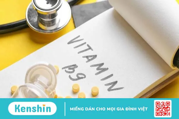 Vitamin B9 có trong thực phẩm nào? Top 14 thực phẩm giàu vitamin B9