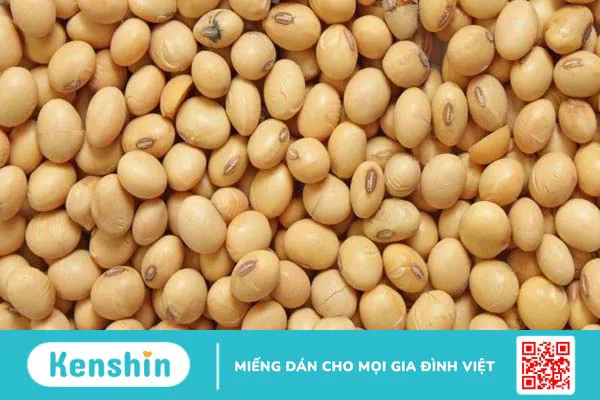 Vitamin B9 có trong thực phẩm nào? Top 14 thực phẩm giàu vitamin B9