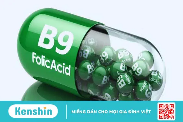 Vitamin B9: Liều dùng, cách dùng và những lưu ý khi sử dụng