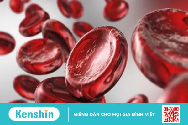 Vitamin B9: Liều dùng, cách dùng và những lưu ý khi sử dụng