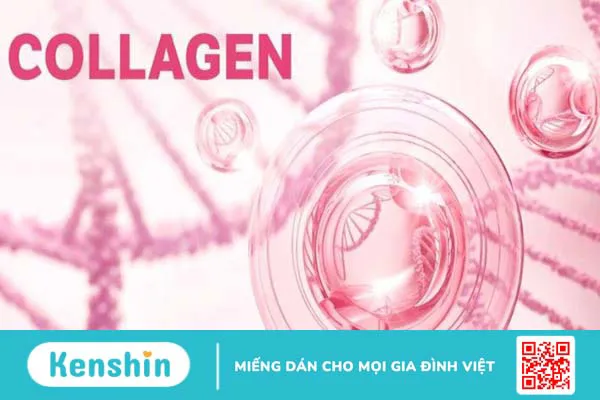 Vitamin E và Collagen có uống cùng lúc được không?