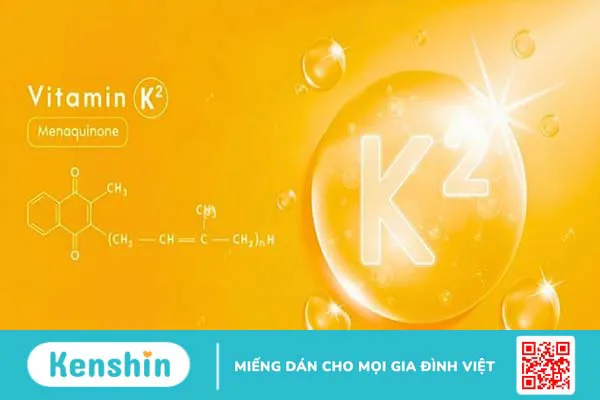 Vitamin K2 là gì? Công dụng, liều dùng và tác dụng phụ khi sử dụng