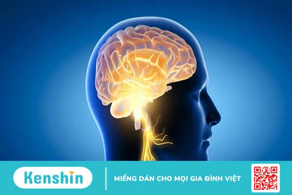 Vitamin tổng hợp là gì? Công dụng của vitamin tổng hợp bạn nên biết