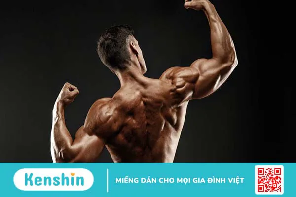 Whey protein isolate và Whey protein concentrate có gì khác nhau?