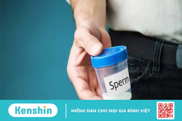 Xét nghiệm tinh dịch đồ là gì? Phân tích kết quả xét nghiệm – Xem ngay