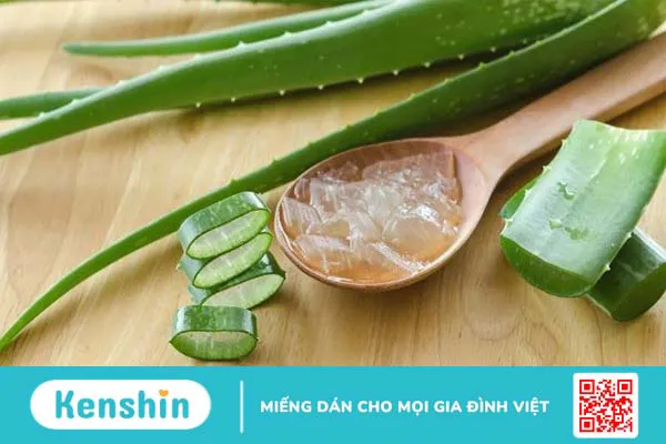 12 cách dùng nha đam (lô hội) trị mụn, đắp mặt hiệu quả tại nhà