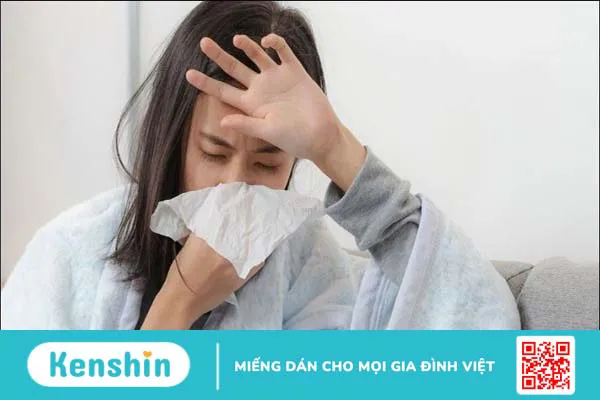 12 tác dụng của Xuyên tâm liên đối với sức khỏe bạn cần biết