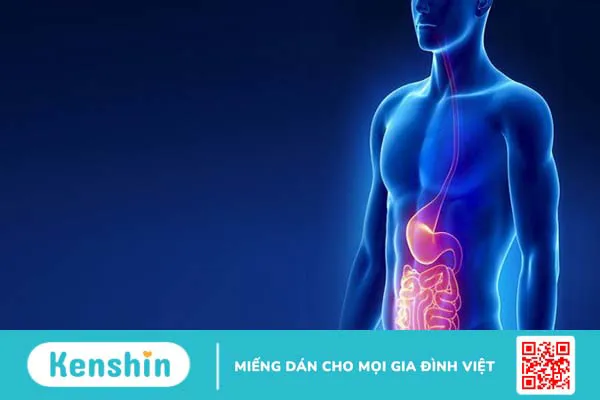 5 nguyên nhân nhiễm trùng máu phổ biến bạn nên biết