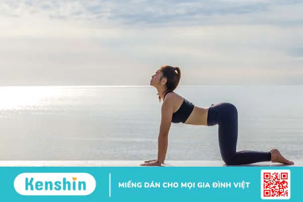 9 bài tập yoga cho người mới bắt đầu đơn giản, có thể tập tại nhà