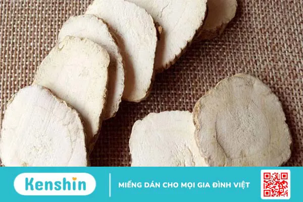 Bạch chỉ là gì? Những lợi ích của bạch chỉ đối với sức khoẻ