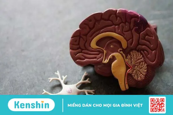 Bao nhiêu tuổi có thể uống vitamin E? Bổ sung vitamin E đúng cách