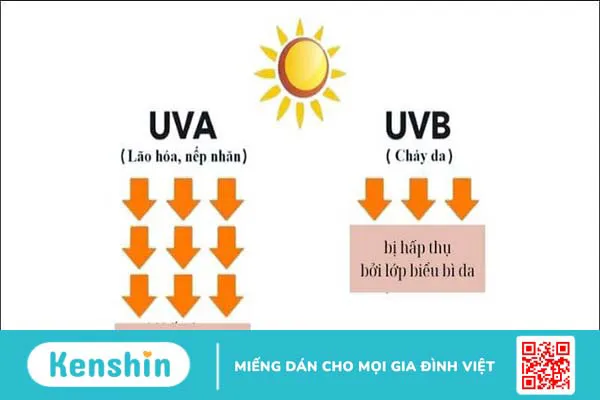 Bí quyết bảo vệ sức khỏe mùa nắng nóng