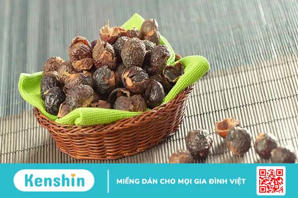 Bồ hòn có tác dụng gì? 6 tác dụng của quả bồ hòn trong chữa bệnh