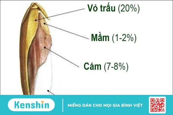 Bún gạo lứt bao nhiêu calo? Giảm cân có nên ăn không?