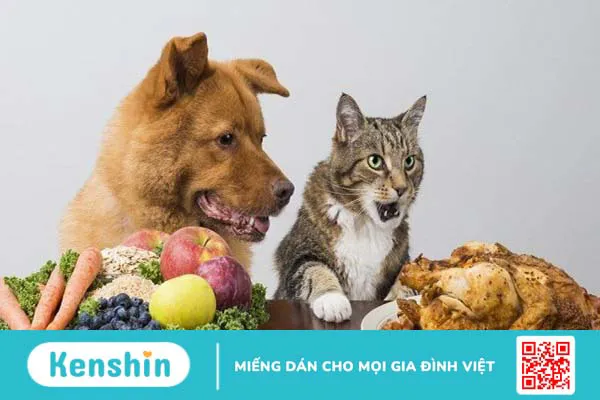 Các dấu hiệu bị nhiễm giun sán chó mèo không nên chủ quan!