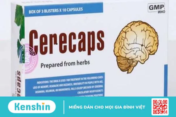 Các loại hoạt huyết dưỡng não tốt trên thị trường