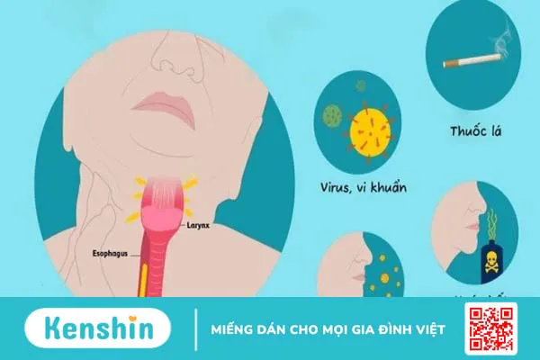 Cách phân biệt viêm họng và covid-19 đơn giản nhất