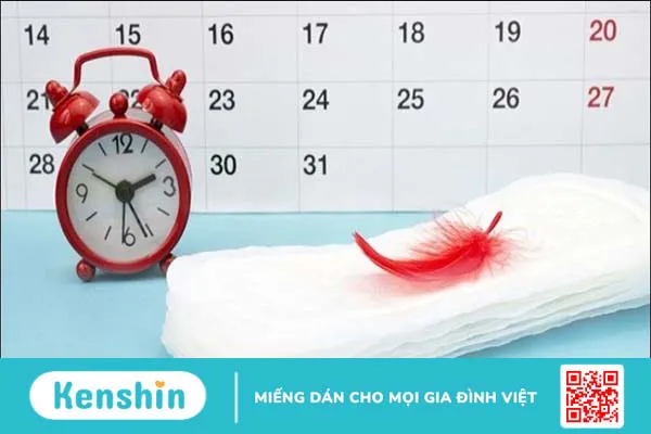 Cách tính ngày rụng trứng chính xác theo chu kỳ kinh nguyệt nên biết