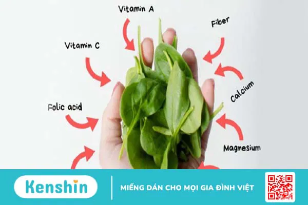 Cải bó xôi có tác dụng gì? 13 tác dụng của cải bó xôi có thể bạn chưa biết