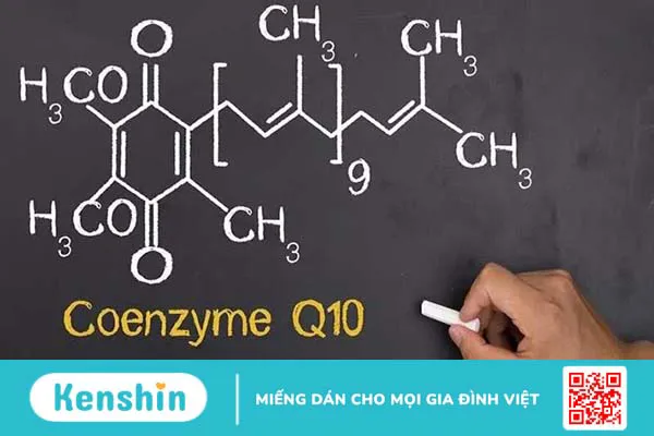 Coenzyme Q10 là gì? 12 tác dụng, cách dùng, thực phẩm chứa Coenzyme Q10