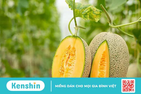 Dưa lưới bao nhiêu calo? Ăn dưa lưới có béo không? Cách ăn giảm cân