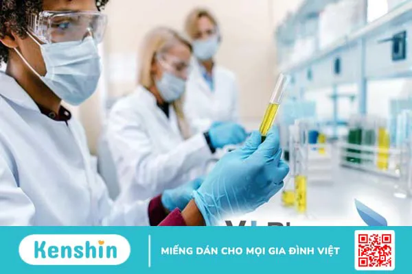 Hãng sản xuất VH Pharma của nước nào? Các sản phẩm nổi bật?