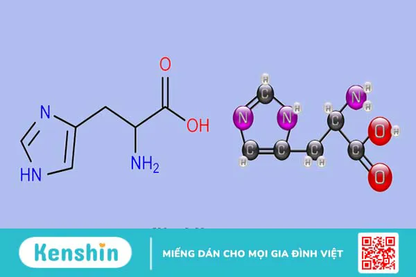 Histidine là gì?Tác dụng, cách dùng, tác dụng phụ, thực phẩm chứa histidine