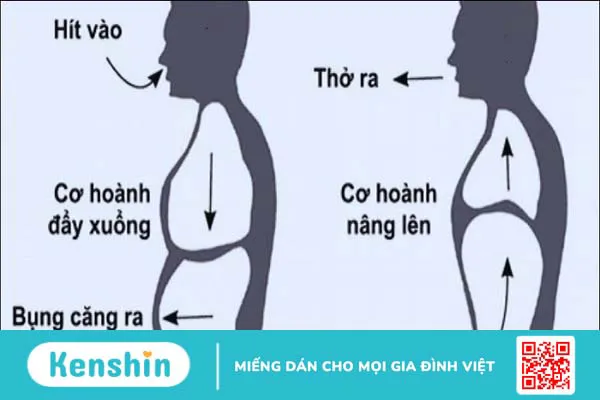 Hướng dẫn hít thở đúng cách và các mẹo giúp cải thiện hơi thở