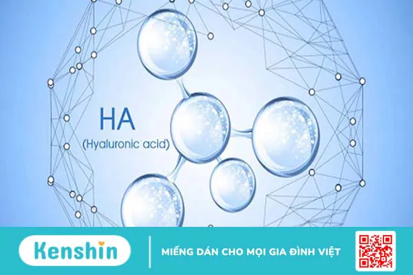 Hyaluronic Acid là gì? Công dụng của HA đối với làn da và sức khỏe