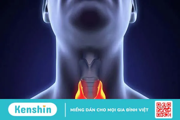 Iodine (Iốt) là gì? lợi ích, liều dùng, tác dụng phụ, những loại thực phẩm chứa nhiều i ốt